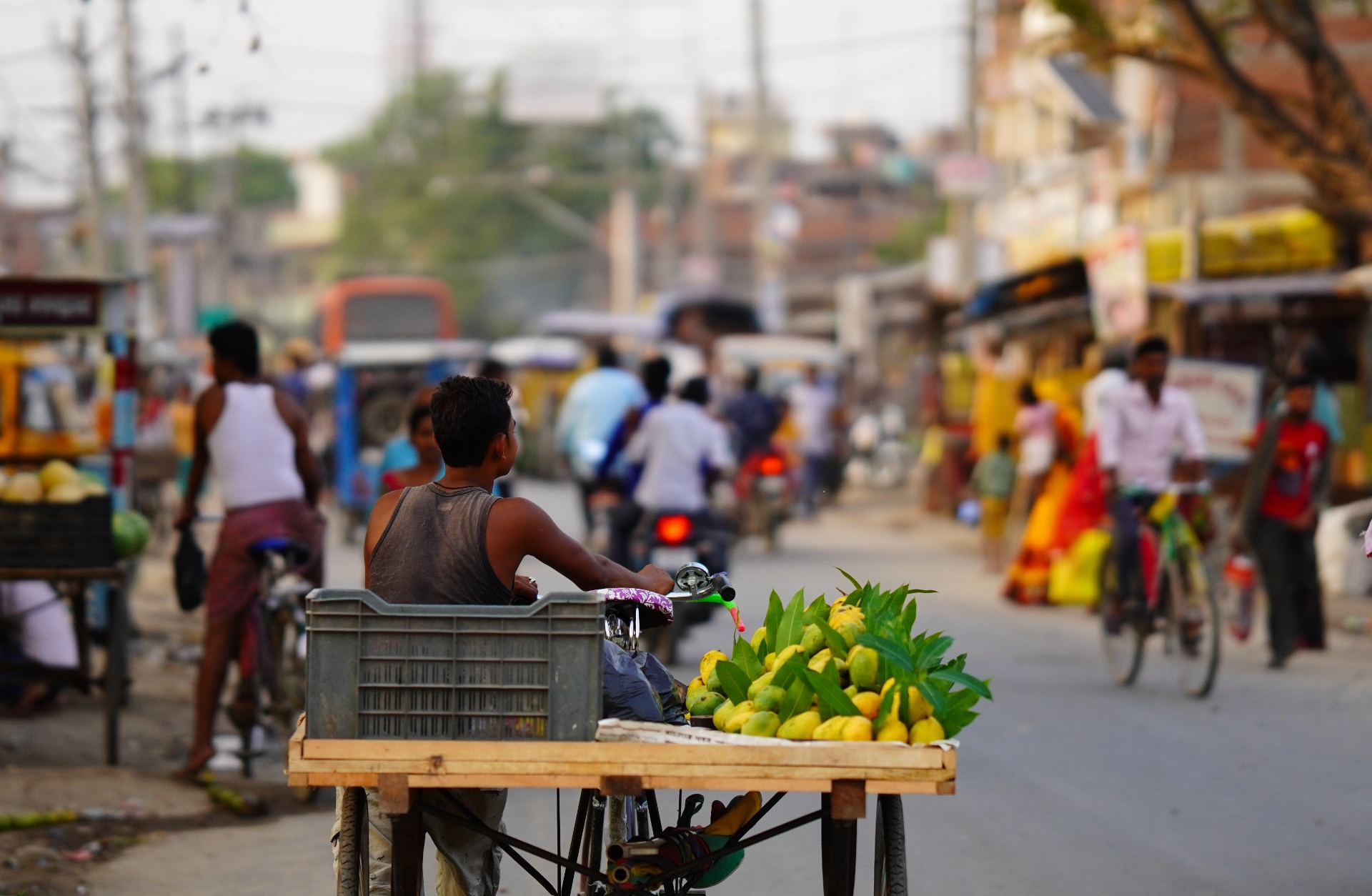 essay on role of street vendors